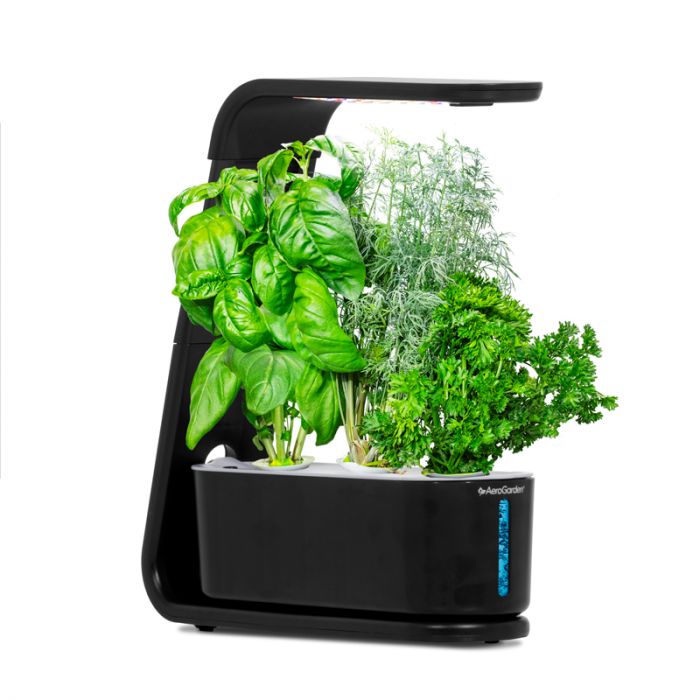 Sprout Product Image